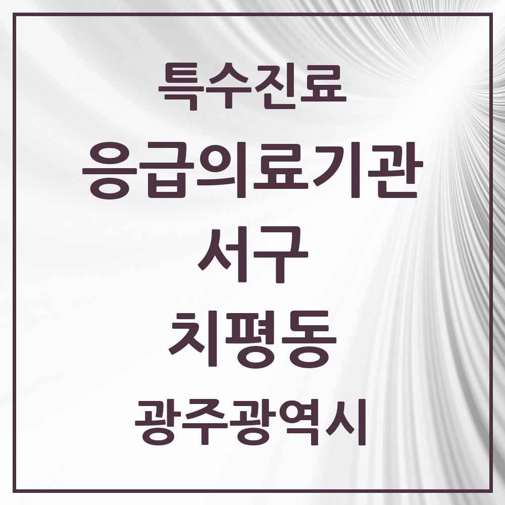 2025 광주광역시 서구 치평동 응급의료기관 의원·병원 목록 1곳
