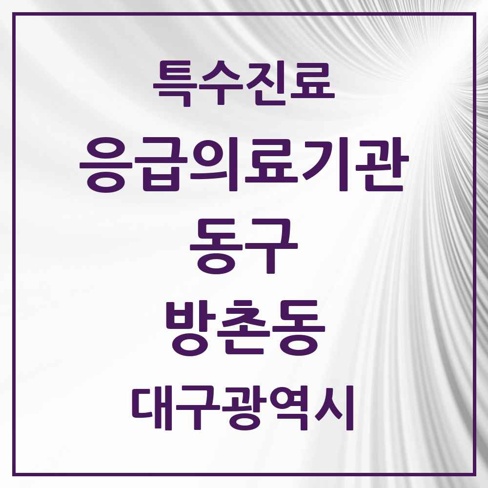 2025 대구광역시 동구 방촌동 응급의료기관 의원·병원 목록 1곳