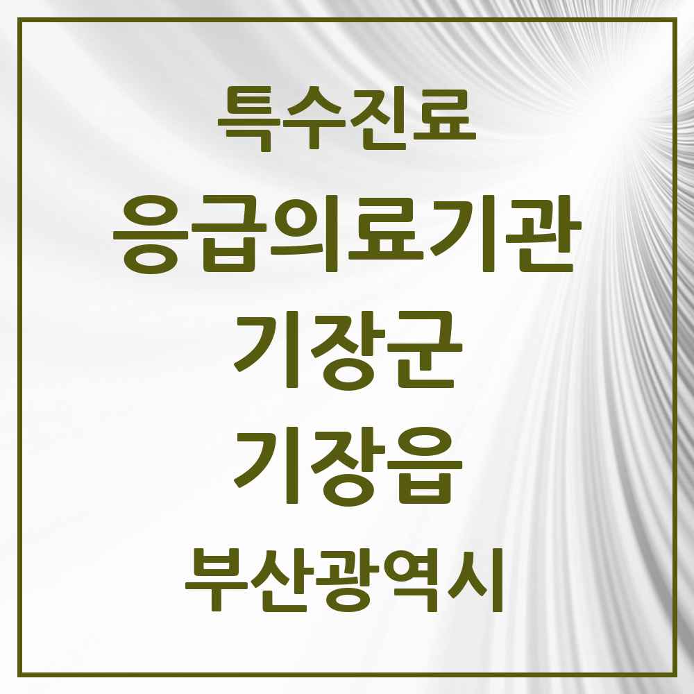 2025 부산광역시 기장군 기장읍 응급의료기관 의원·병원 목록 1곳