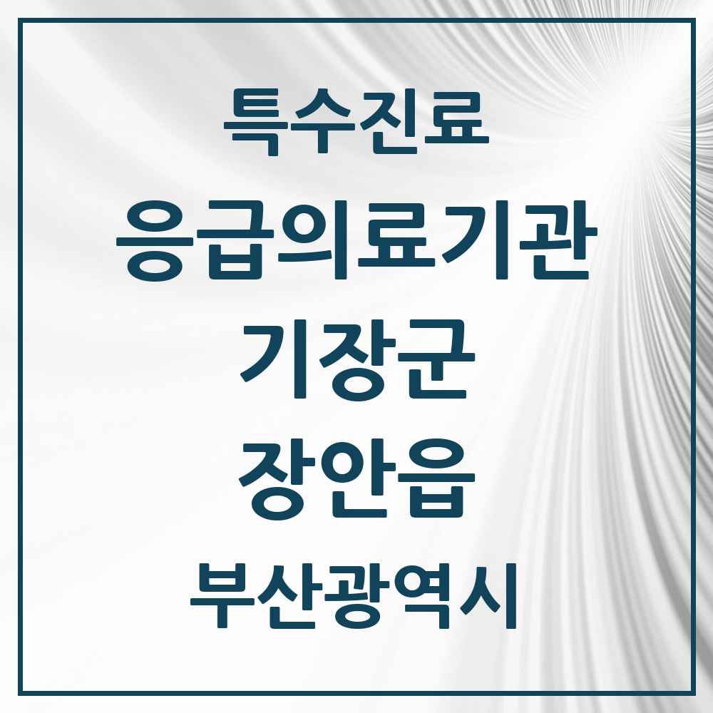 2025 부산광역시 기장군 장안읍 응급의료기관 의원·병원 목록 1곳