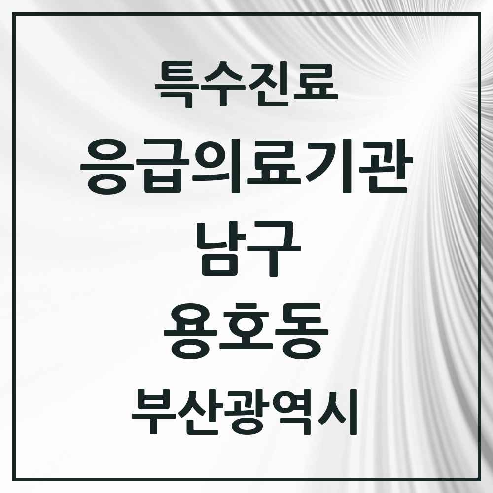 2025 부산광역시 남구 용호동 응급의료기관 의원·병원 목록 1곳