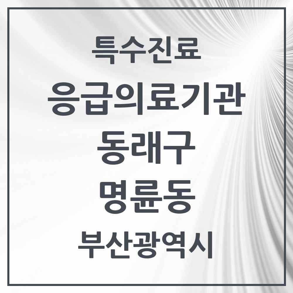 2025 부산광역시 동래구 명륜동 응급의료기관 의원·병원 목록 1곳
