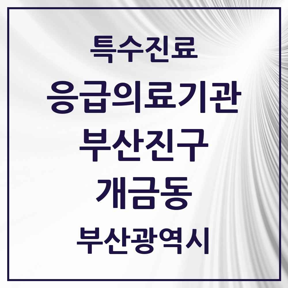 2025 부산광역시 부산진구 개금동 응급의료기관 의원·병원 목록 1곳