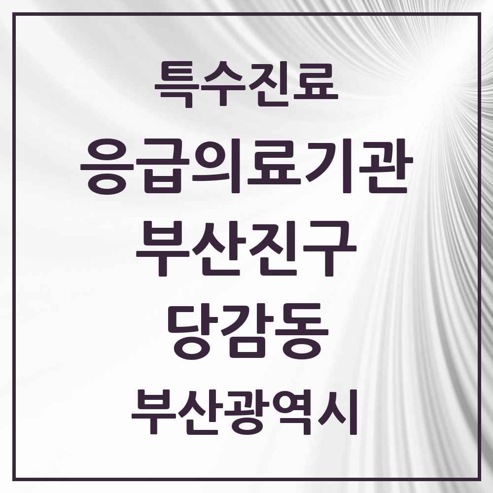 2025 부산광역시 부산진구 당감동 응급의료기관 의원·병원 목록 1곳