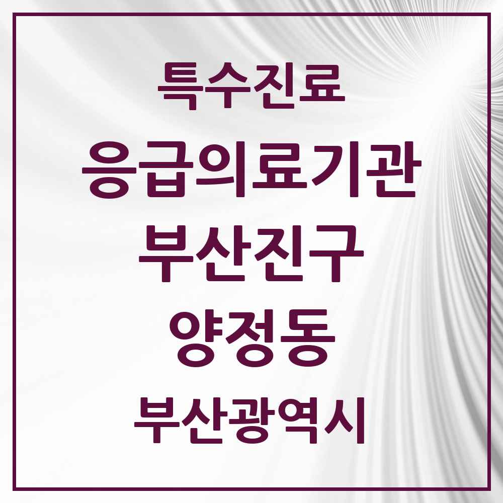 2025 부산광역시 부산진구 양정동 응급의료기관 의원·병원 목록 1곳