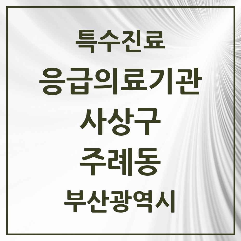 2025 부산광역시 사상구 주례동 응급의료기관 의원·병원 목록 2곳