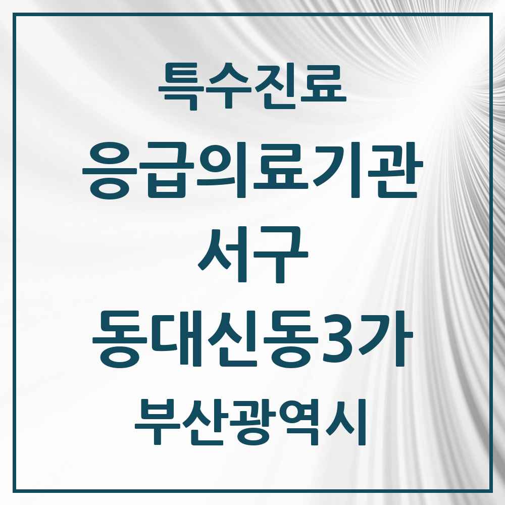 2025 부산광역시 서구 동대신동3가 응급의료기관 의원·병원 목록 1곳