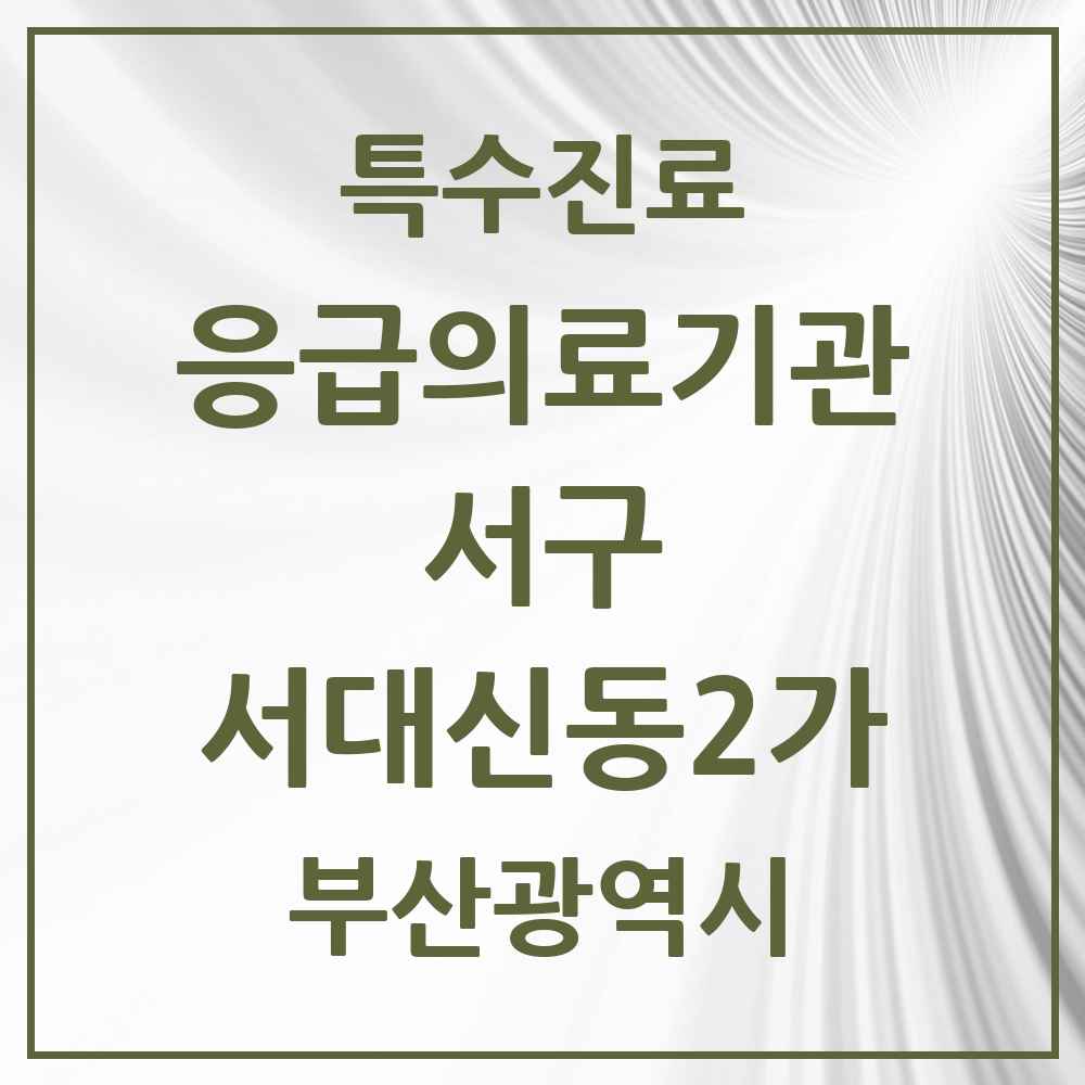 2025 부산광역시 서구 서대신동2가 응급의료기관 의원·병원 목록 1곳