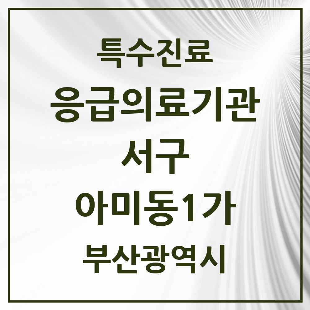 2025 부산광역시 서구 아미동1가 응급의료기관 의원·병원 목록 1곳