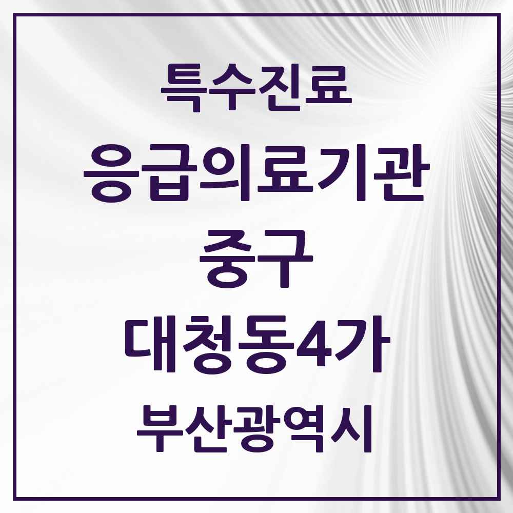 2025 부산광역시 중구 대청동4가 응급의료기관 의원·병원 목록 1곳