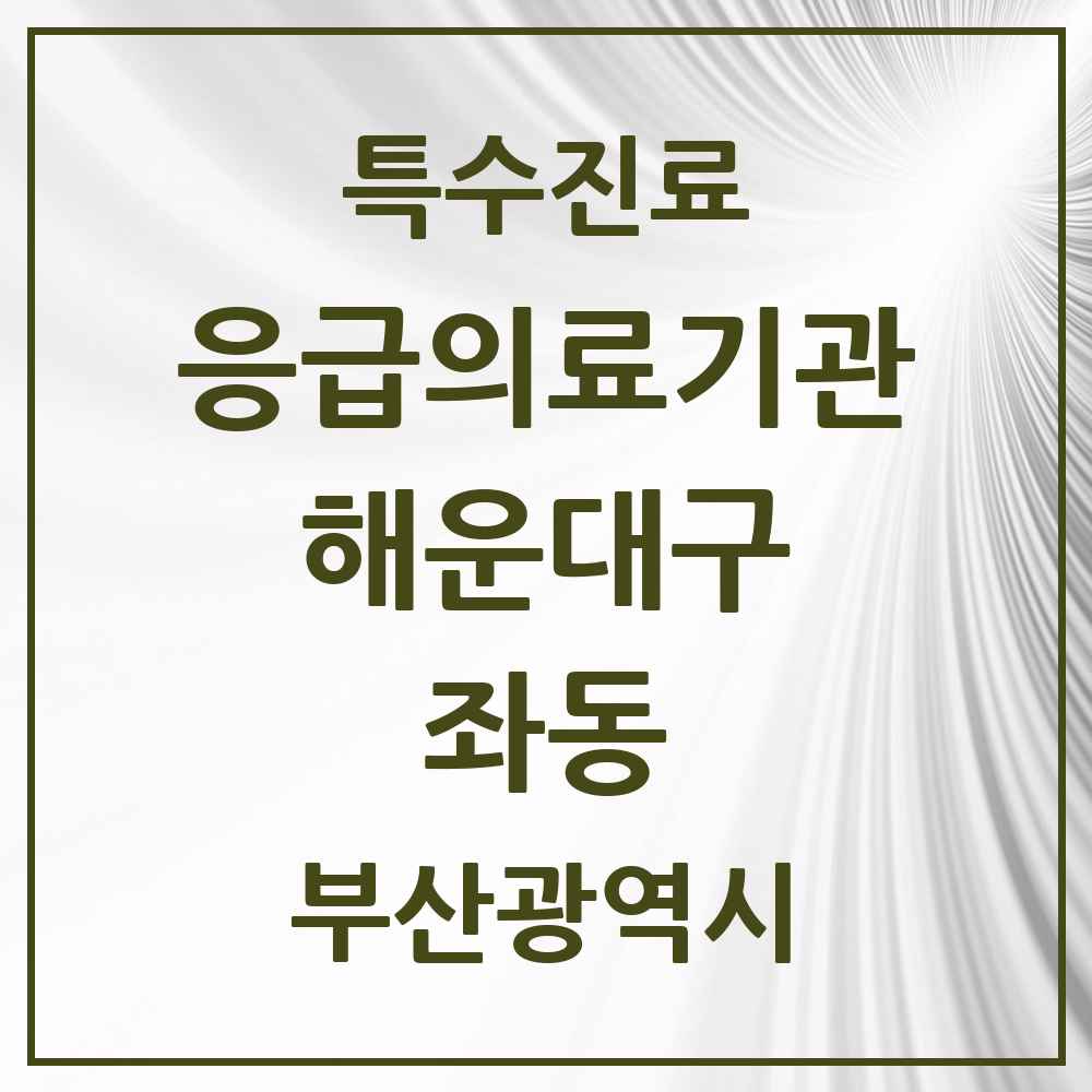 2025 부산광역시 해운대구 좌동 응급의료기관 의원·병원 목록 1곳