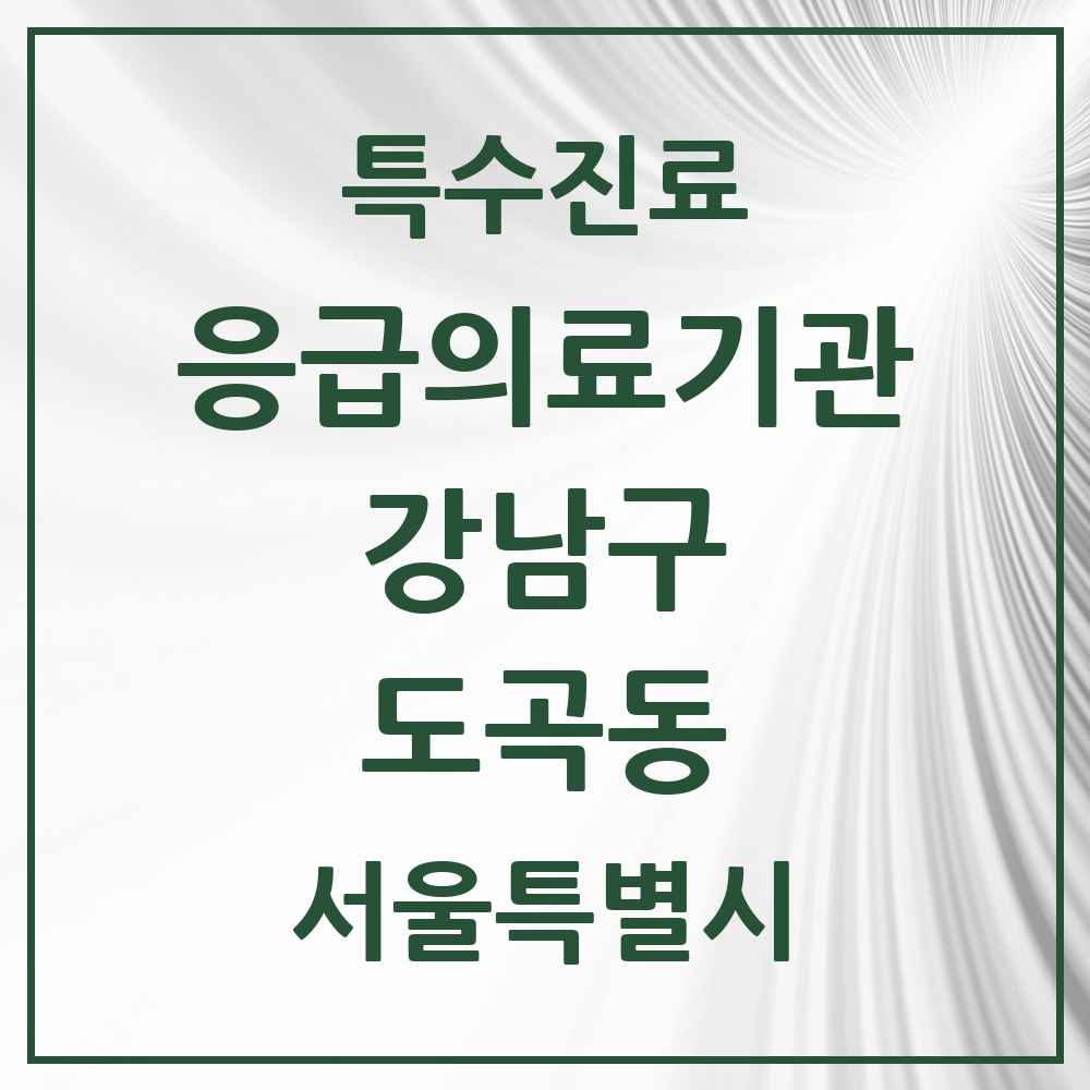 2025 서울특별시 강남구 도곡동 응급의료기관 의원·병원 목록 1곳
