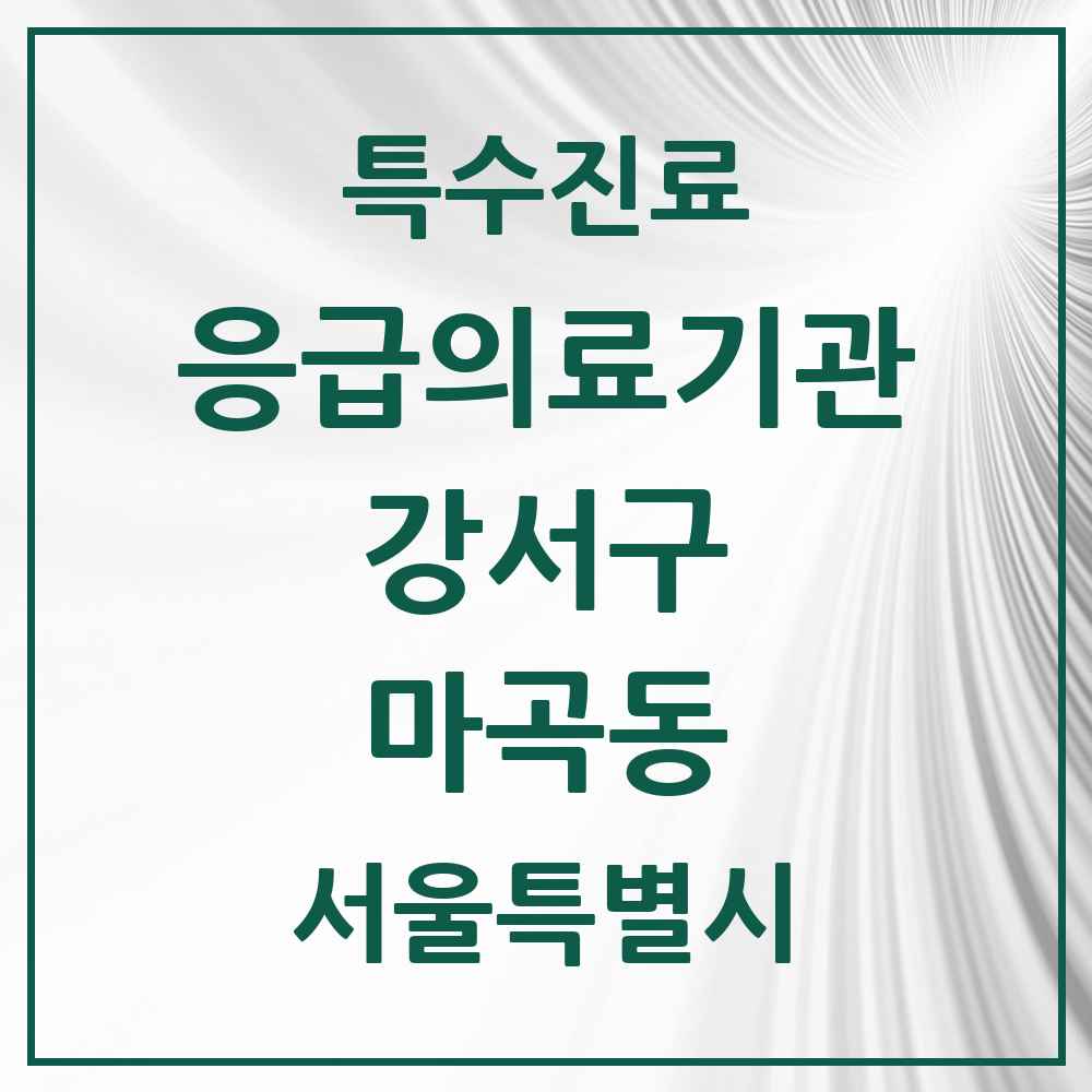 2025 서울특별시 강서구 마곡동 응급의료기관 의원·병원 목록 1곳