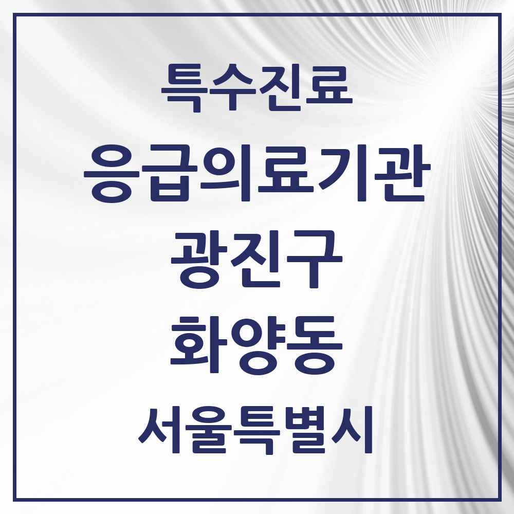 2025 서울특별시 광진구 화양동 응급의료기관 의원·병원 목록 1곳