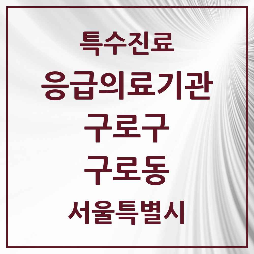 2025 서울특별시 구로구 구로동 응급의료기관 의원·병원 목록 1곳