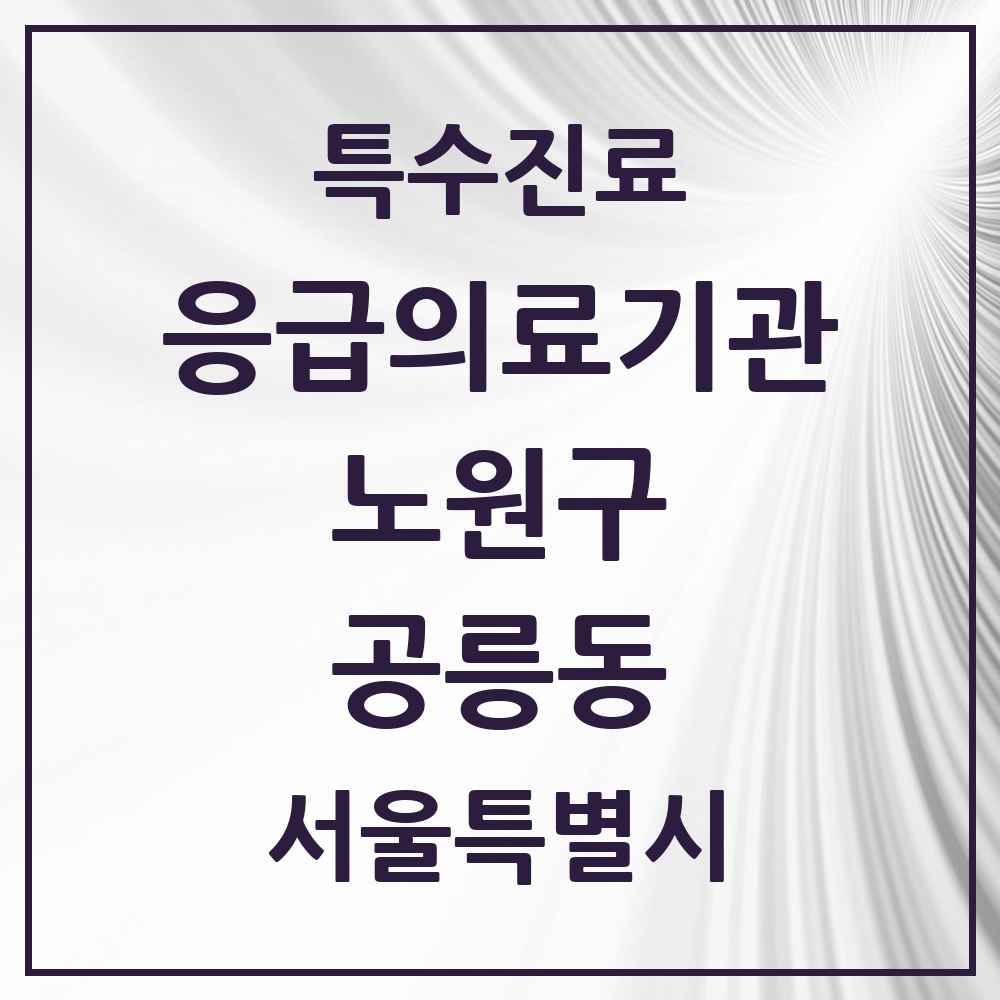 2025 서울특별시 노원구 공릉동 응급의료기관 의원·병원 목록 1곳