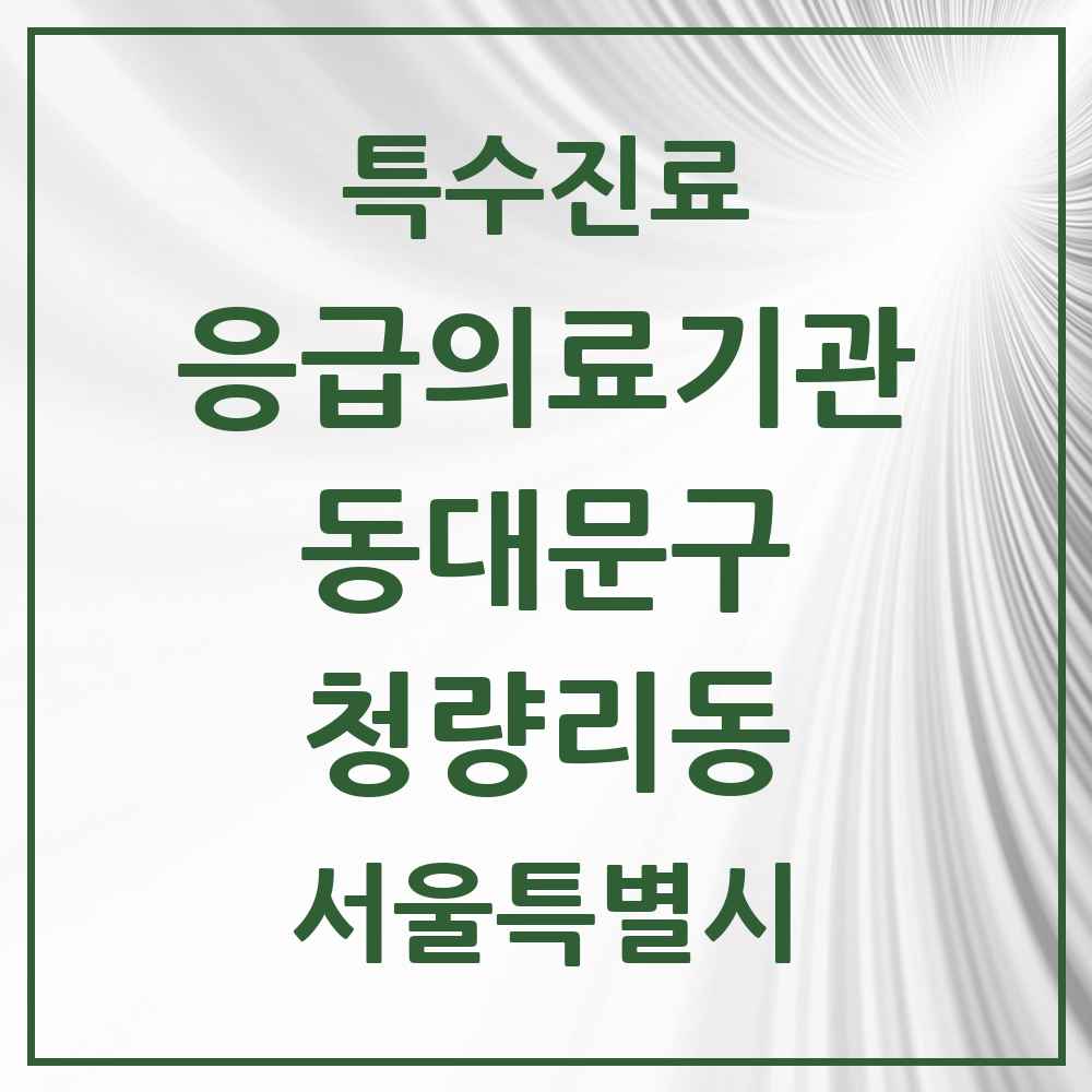 2025 서울특별시 동대문구 청량리동 응급의료기관 의원·병원 목록 1곳