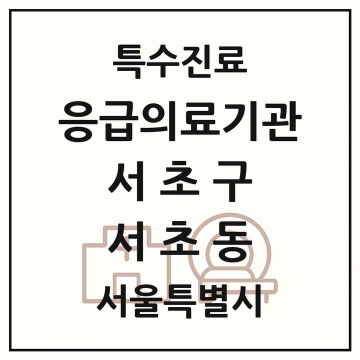 2026 서울특별시 서초구 서초동 응급의료기관 의원·병원 목록 1곳