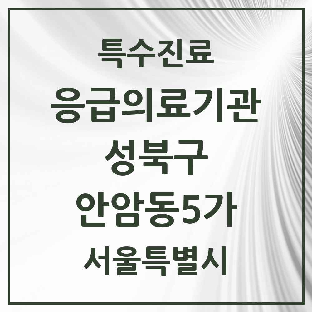 2025 서울특별시 성북구 안암동5가 응급의료기관 의원·병원 목록 1곳