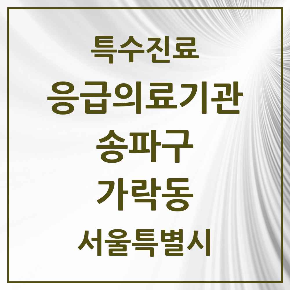 2025 서울특별시 송파구 가락동 응급의료기관 의원·병원 목록 1곳