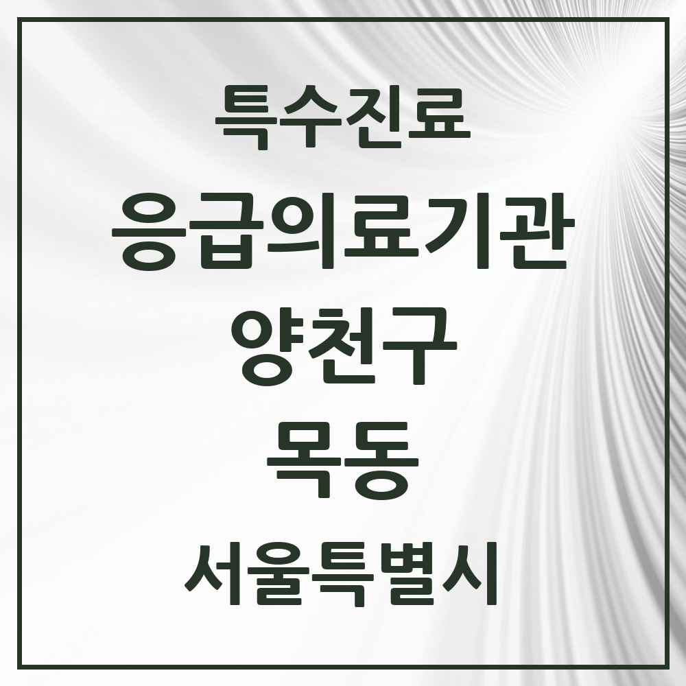 2025 서울특별시 양천구 목동 응급의료기관 의원·병원 목록 1곳