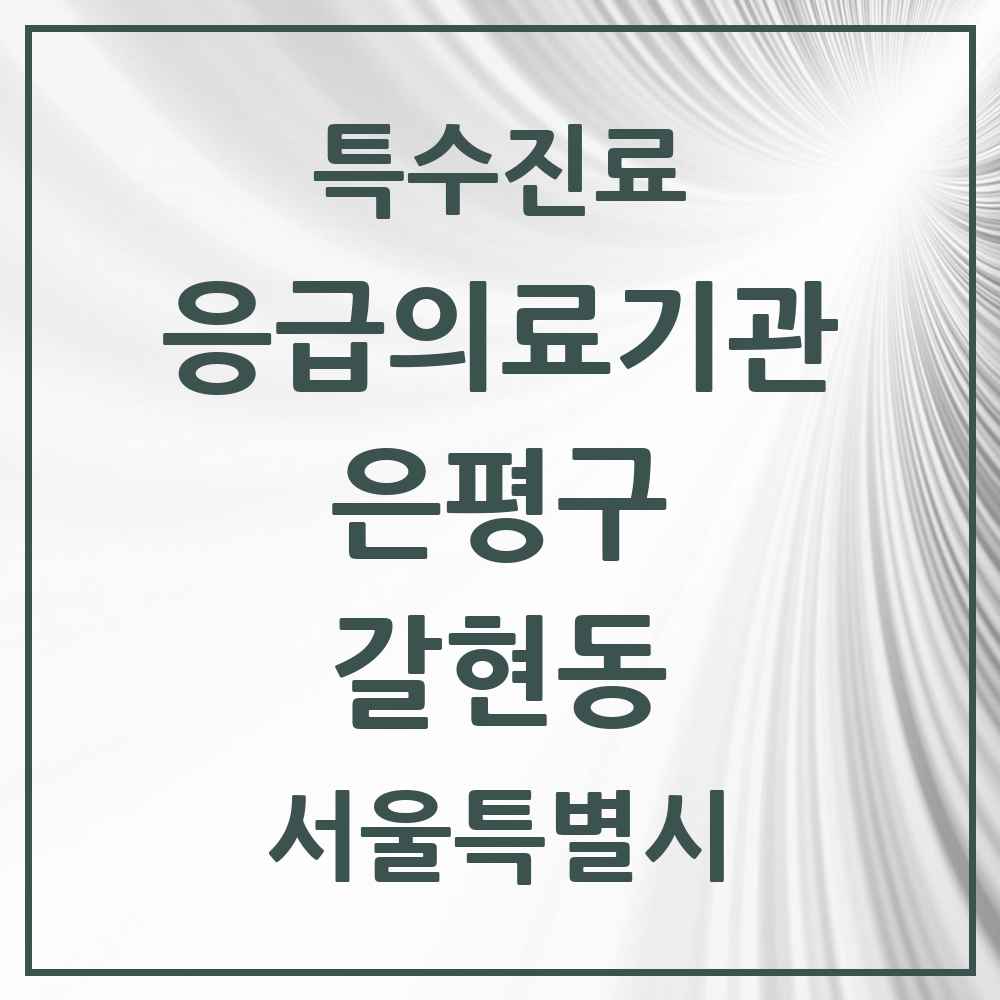 2025 서울특별시 은평구 갈현동 응급의료기관 의원·병원 목록 1곳