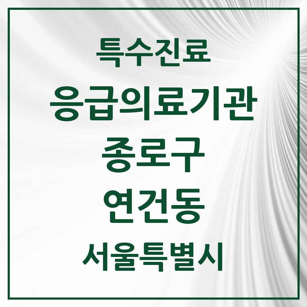2025 서울특별시 종로구 연건동 응급의료기관 의원·병원 목록 1곳