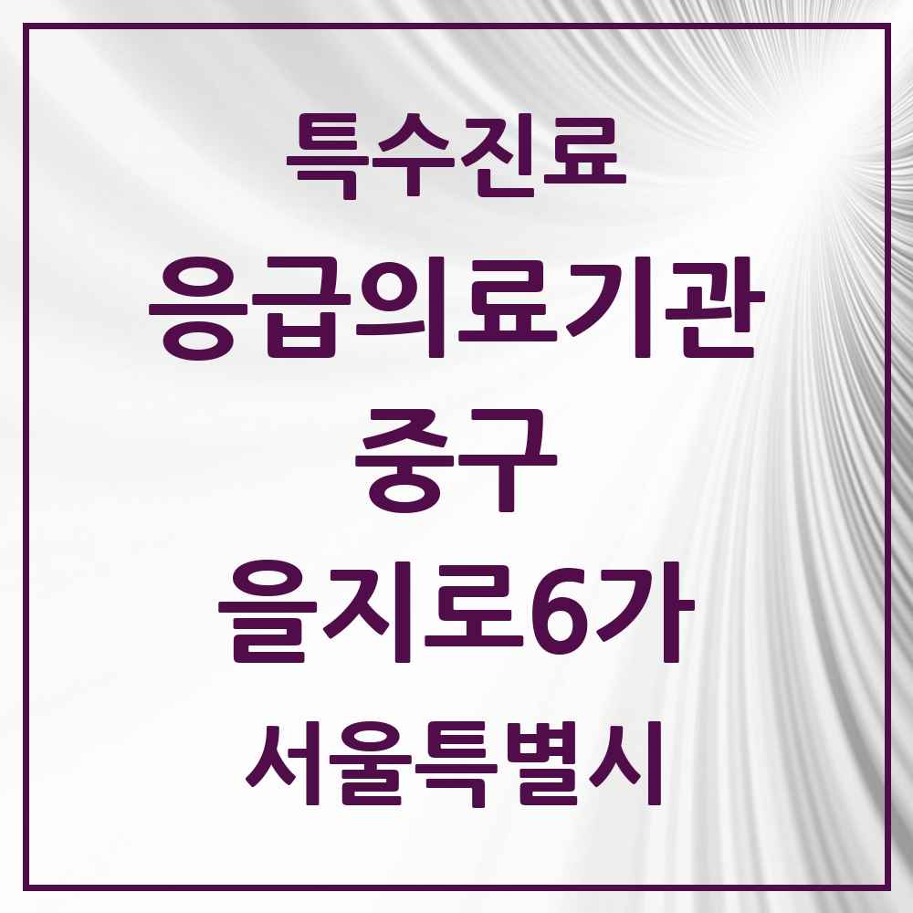 2025 서울특별시 중구 을지로6가 응급의료기관 의원·병원 목록 1곳