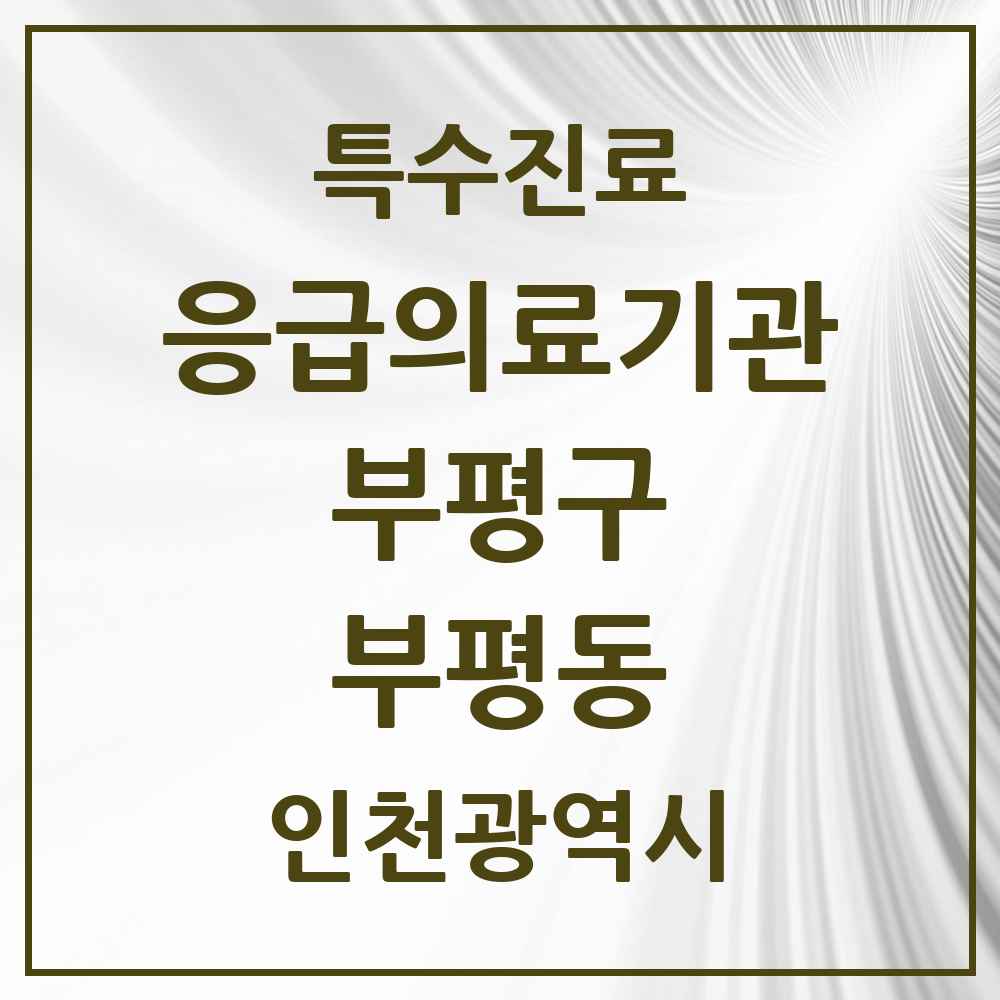 2025 인천광역시 부평구 부평동 응급의료기관 의원·병원 목록 1곳