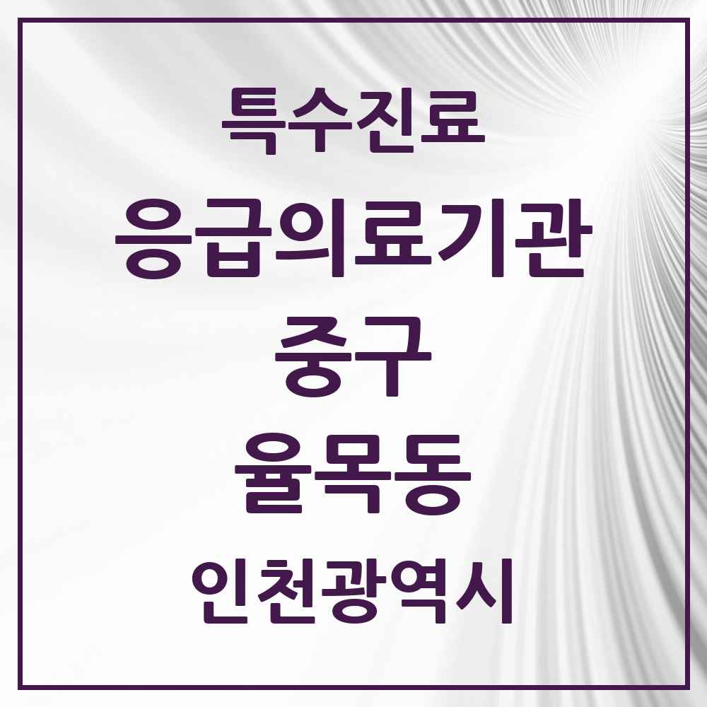 2025 인천광역시 중구 율목동 응급의료기관 의원·병원 목록 1곳