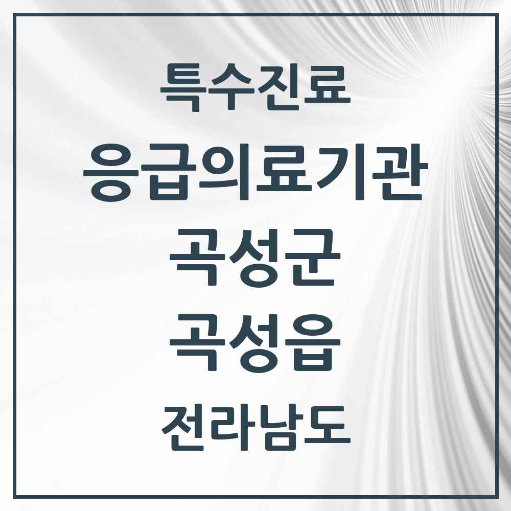 2025 전라남도 곡성군 곡성읍 응급의료기관 의원·병원 목록 1곳