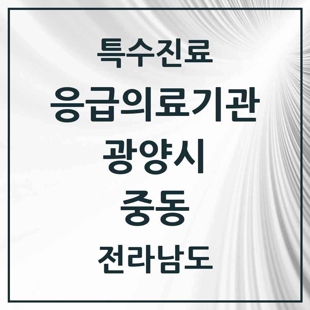 2025 전라남도 광양시 중동 응급의료기관 의원·병원 목록 1곳