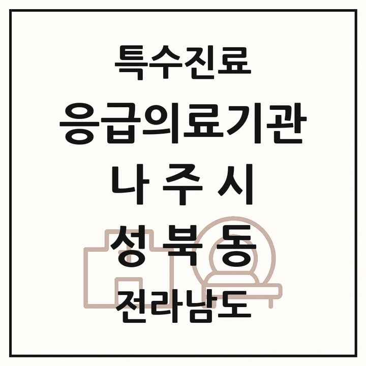 2026 전라남도 나주시 성북동 응급의료기관 의원·병원 목록 1곳
