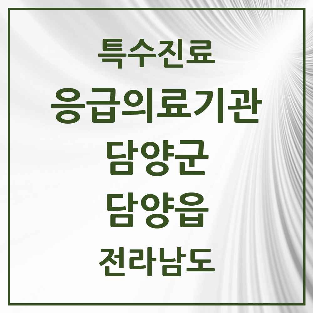 2025 전라남도 담양군 담양읍 응급의료기관 의원·병원 목록 1곳