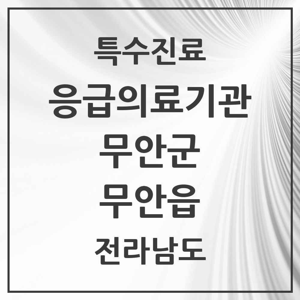 2025 전라남도 무안군 무안읍 응급의료기관 의원·병원 목록 1곳