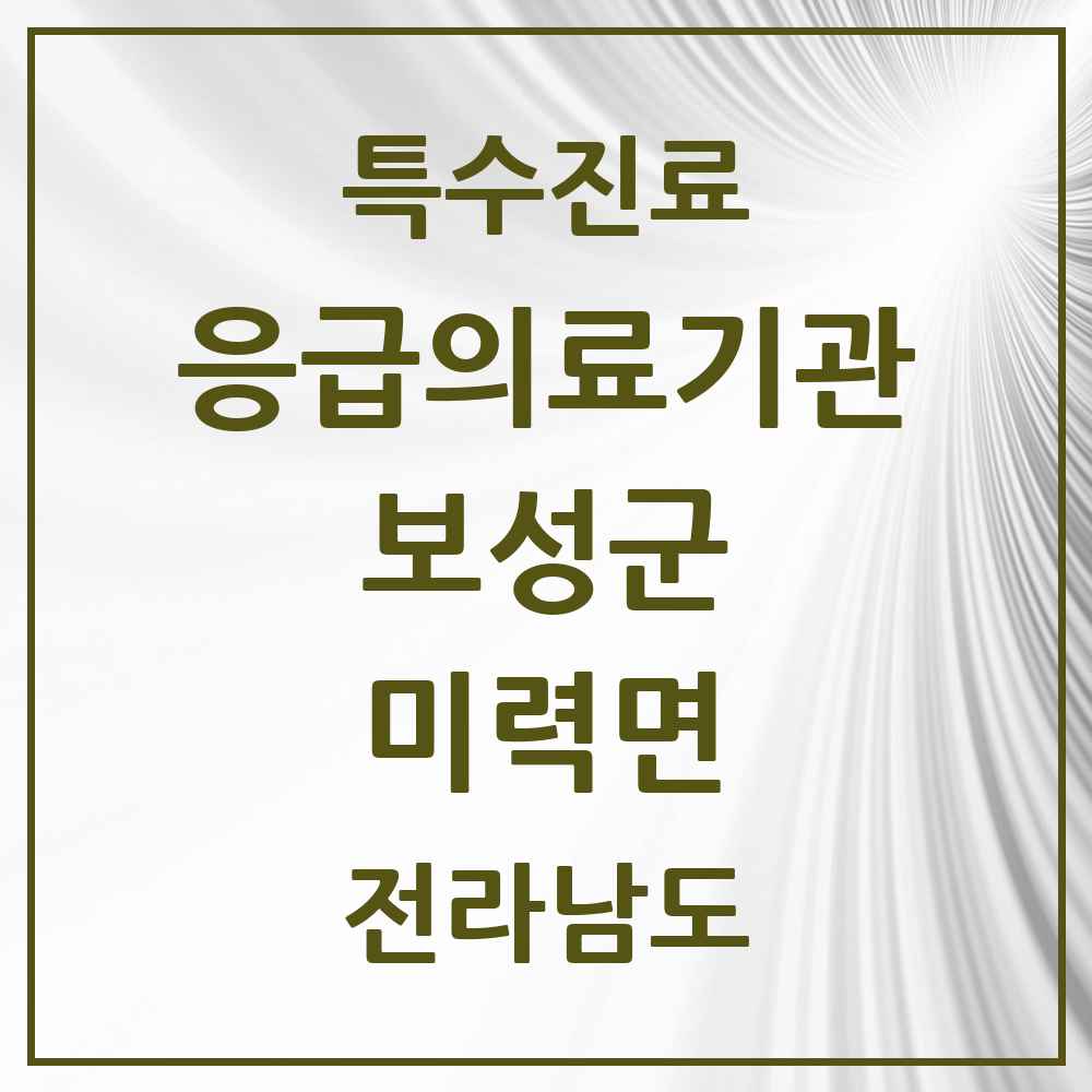 2025 전라남도 보성군 미력면 응급의료기관 의원·병원 목록 1곳