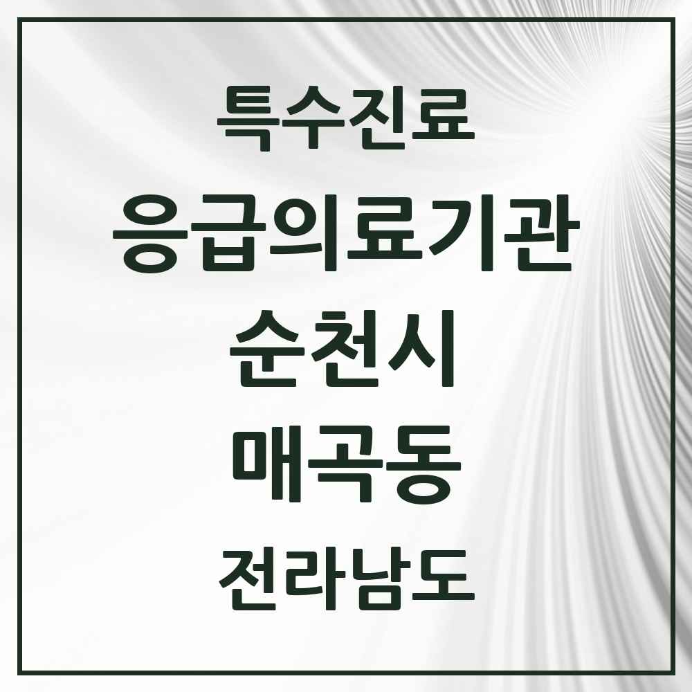 2025 전라남도 순천시 매곡동 응급의료기관 의원·병원 목록 1곳