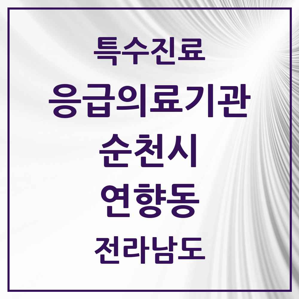 2025 전라남도 순천시 연향동 응급의료기관 의원·병원 목록 1곳