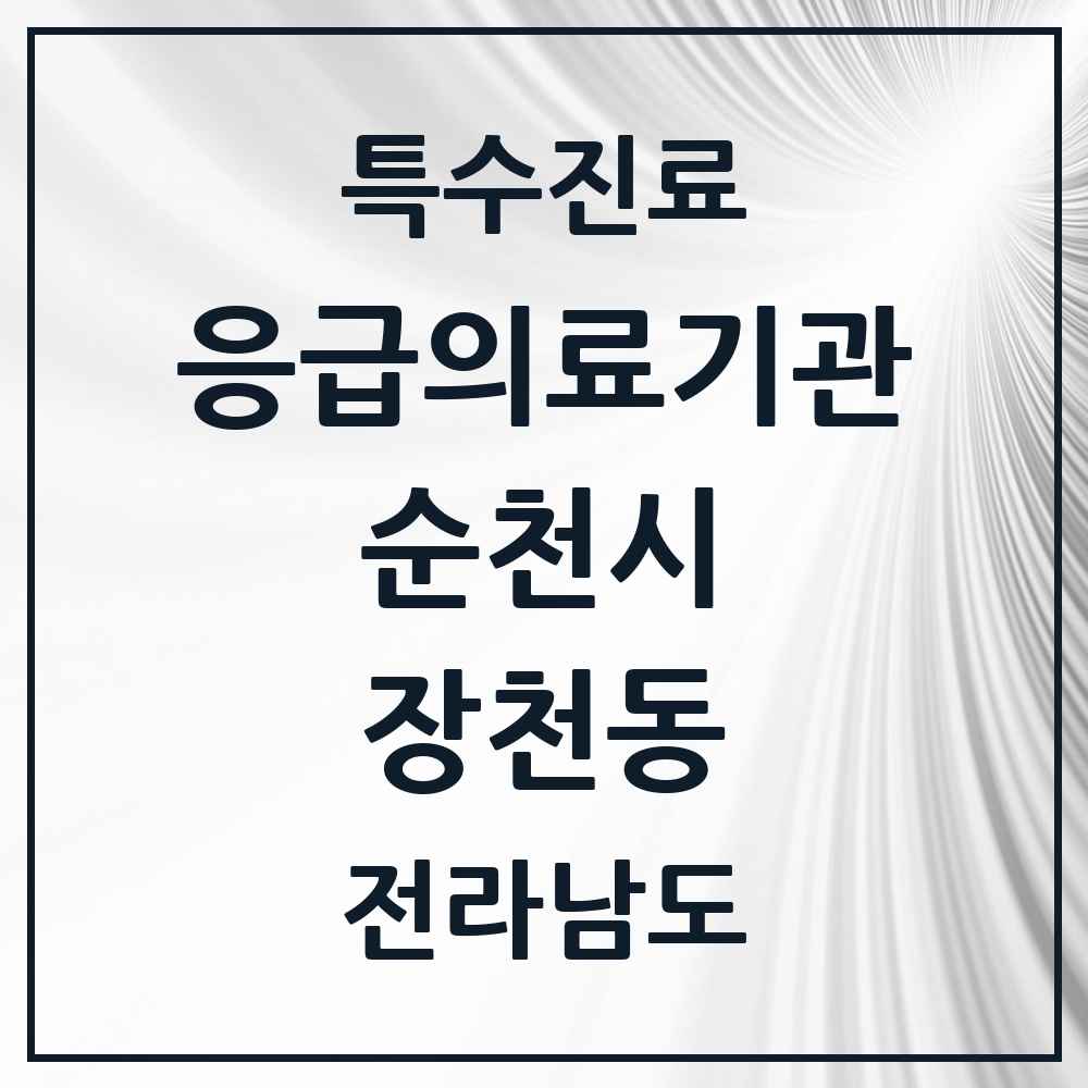 2025 전라남도 순천시 장천동 응급의료기관 의원·병원 목록 1곳
