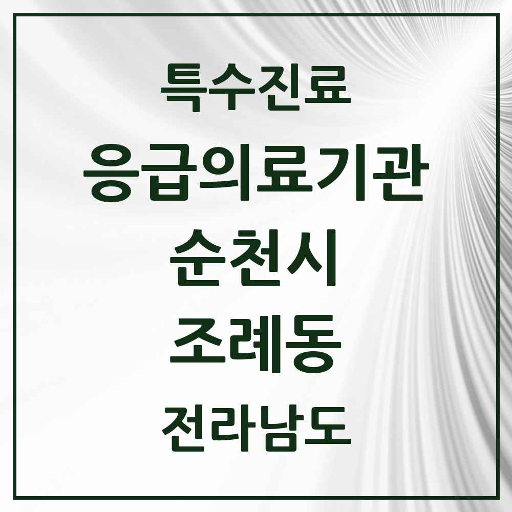 2025 전라남도 순천시 조례동 응급의료기관 의원·병원 목록 2곳