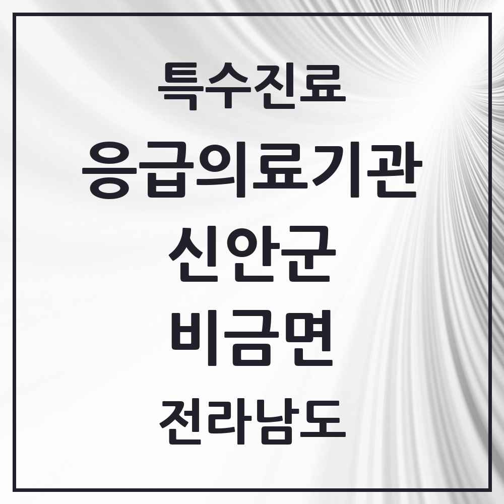 2025 전라남도 신안군 비금면 응급의료기관 의원·병원 목록 1곳