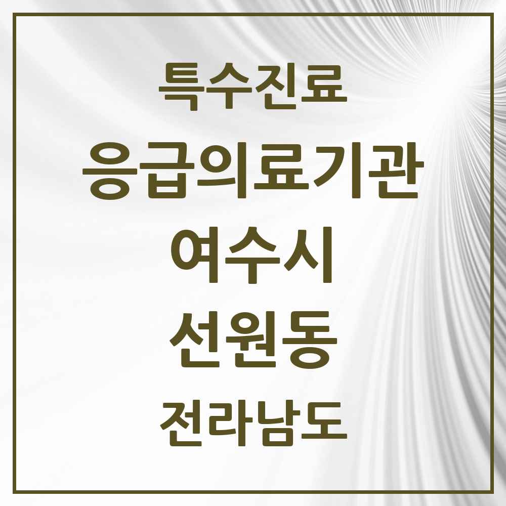 2025 전라남도 여수시 선원동 응급의료기관 의원·병원 목록 1곳