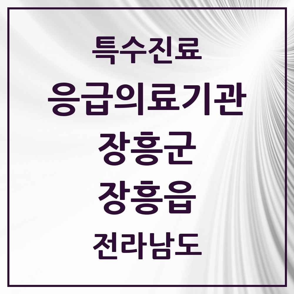 2025 전라남도 장흥군 장흥읍 응급의료기관 의원·병원 목록 2곳