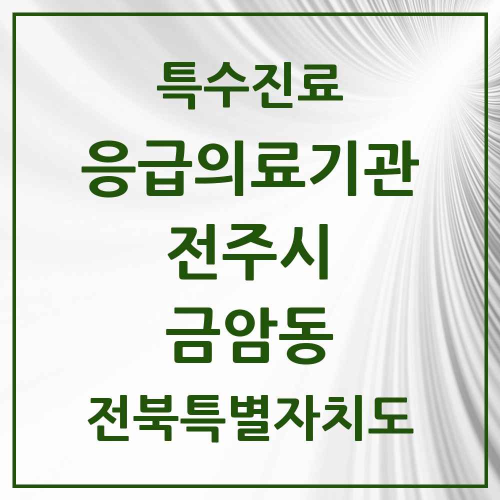 2025 전북특별자치도 전주시 금암동 응급의료기관 의원·병원 목록 1곳