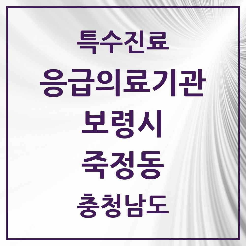 2025 충청남도 보령시 죽정동 응급의료기관 의원·병원 목록 1곳