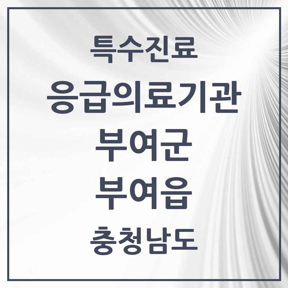 2025 충청남도 부여군 부여읍 응급의료기관 의원·병원 목록 1곳
