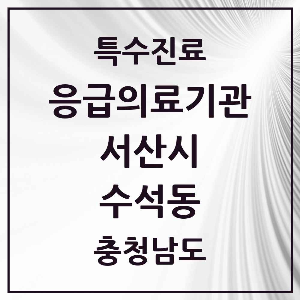 2025 충청남도 서산시 수석동 응급의료기관 의원·병원 목록 1곳