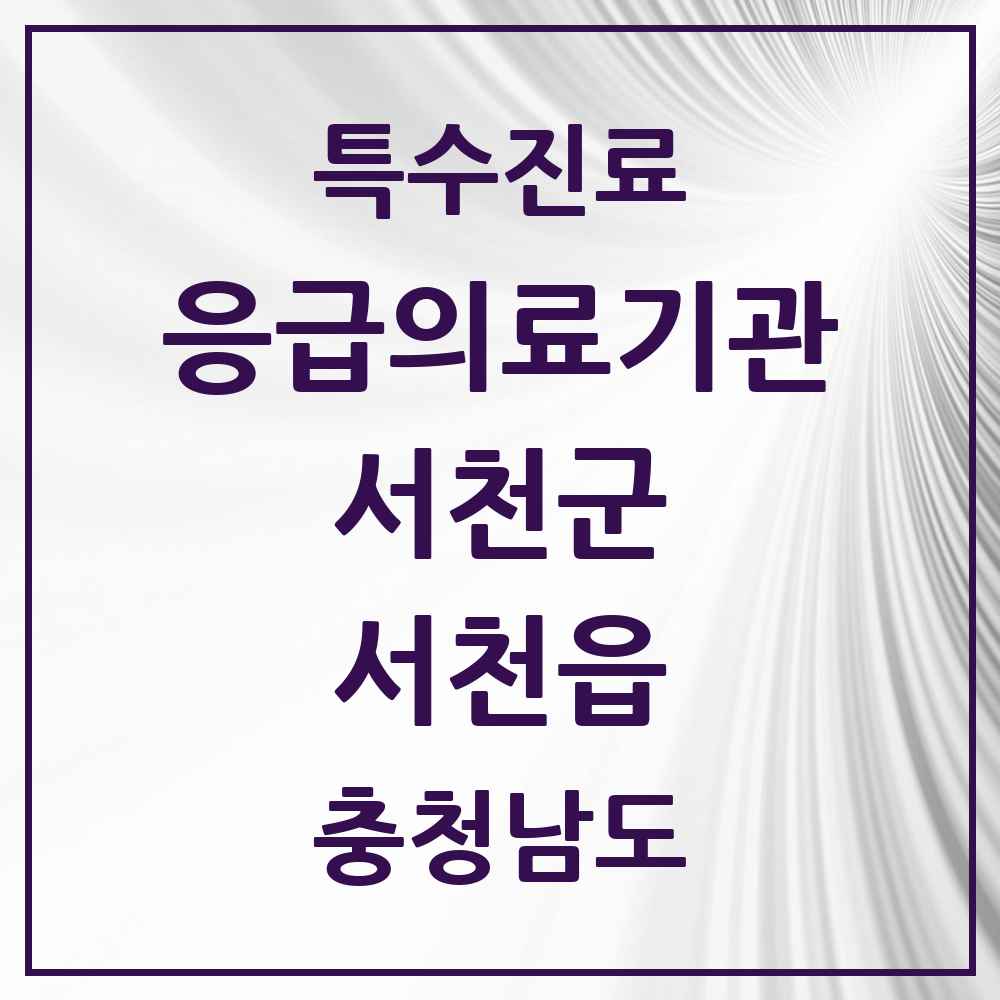 2025 충청남도 서천군 서천읍 응급의료기관 의원·병원 목록 1곳