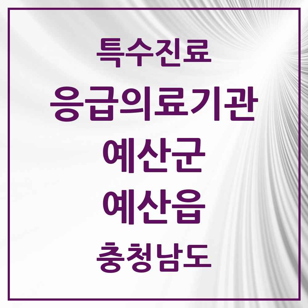2025 충청남도 예산군 예산읍 응급의료기관 의원·병원 목록 1곳