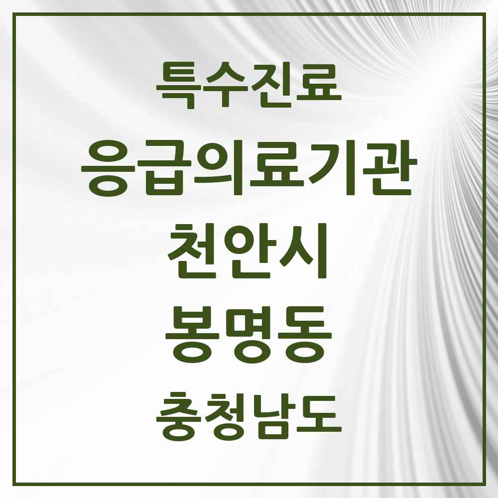 2025 충청남도 천안시 봉명동 응급의료기관 의원·병원 목록 1곳
